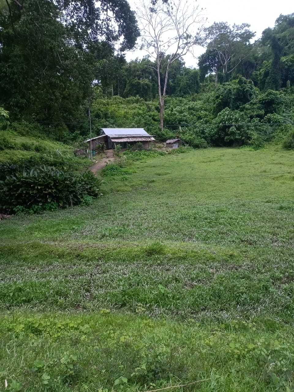 Land for Sale in Diglipur Town,  Andaman and Nicobar Islands