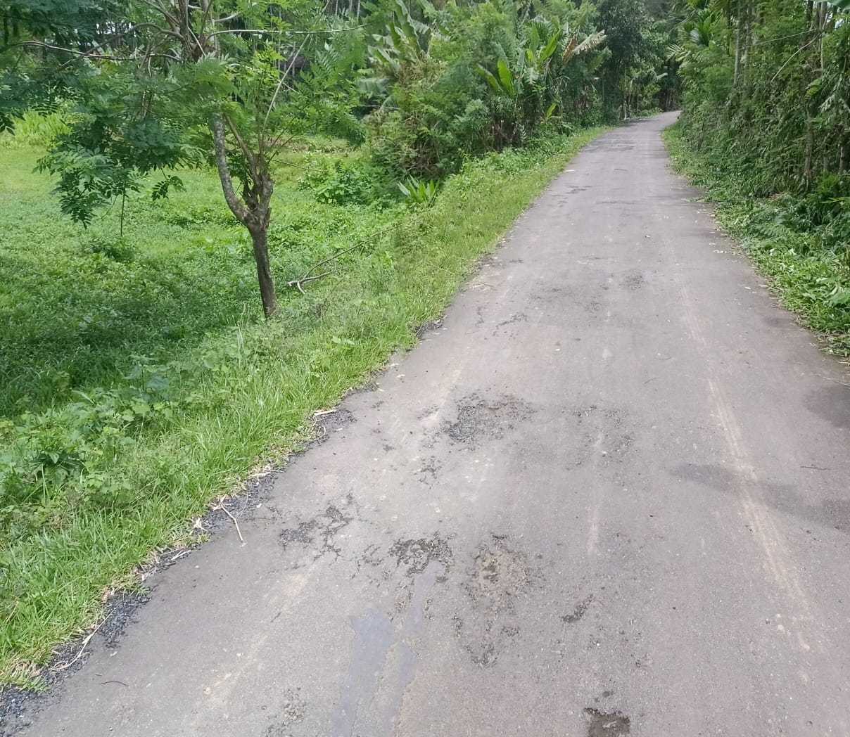 Land for Sale in Diglipur Town,  Andaman and Nicobar Islands